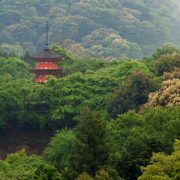 kyoto02