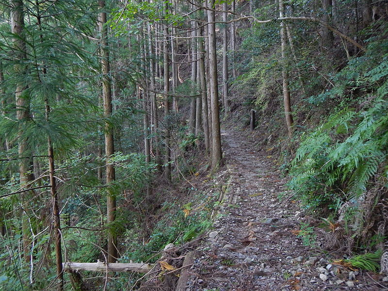 Sentieri di pellegrinaggio di Kumano Kodo