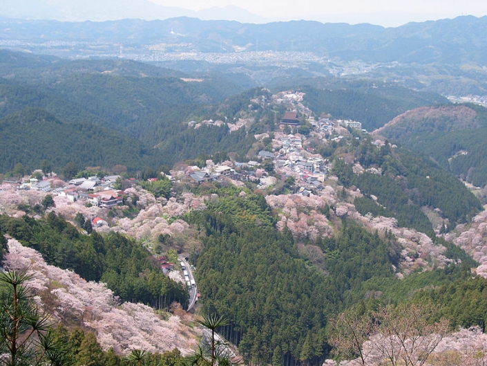 Yoshino